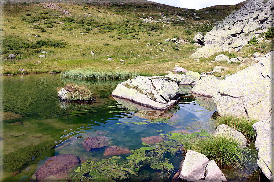 foto Lago di Montalon